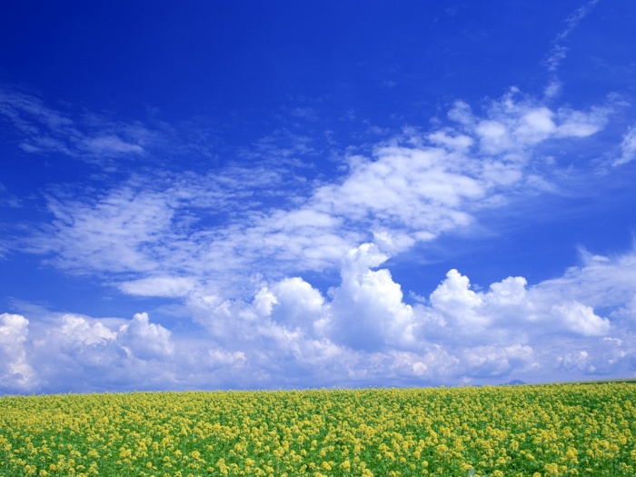 cover-img